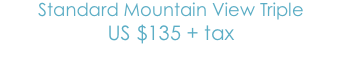 Standard Mountain View Triple
US$135 + tax 